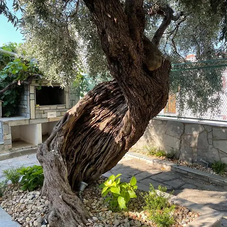 Elia & Meli Skála Kallirákhis